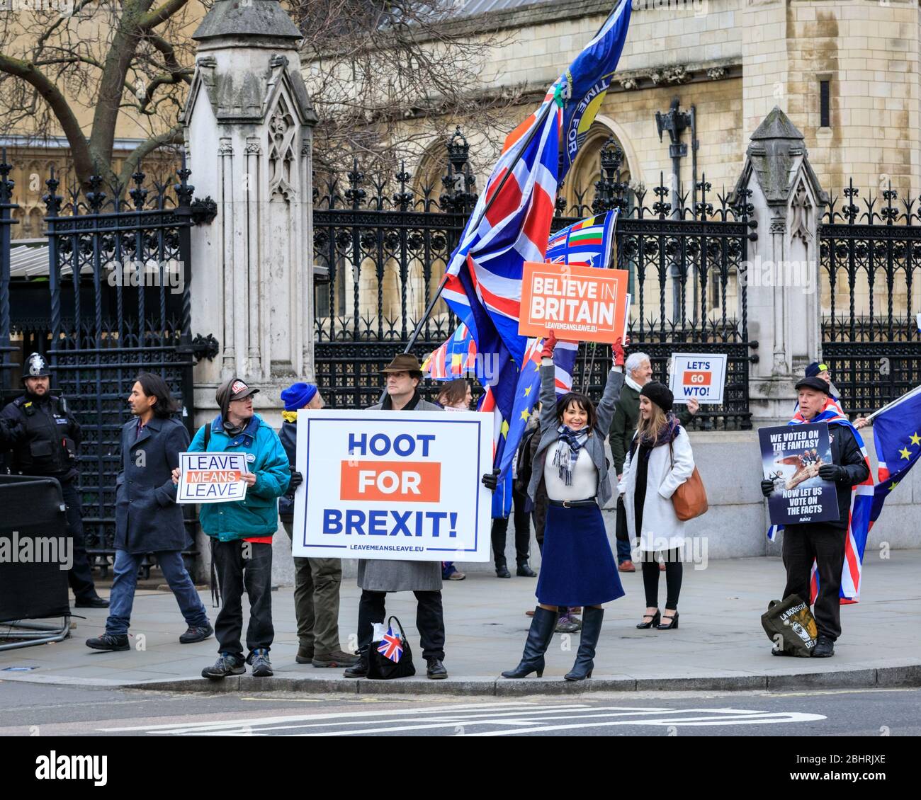 Lydia Grant, sostenitore della Brexit, al centro, con il cartello Believe in Britain al Parlamento di Westminster, Londra, Regno Unito Foto Stock