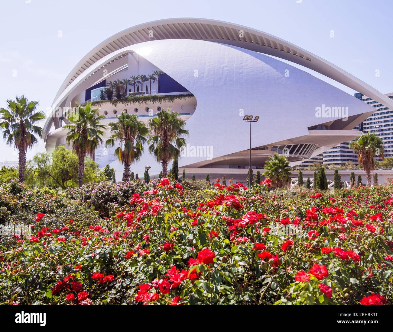 Palacio de las artes Reina Sofía en la Ciudad de las Artes y las Ciencias. Valencia. Comunidad Valenciana. España Foto Stock