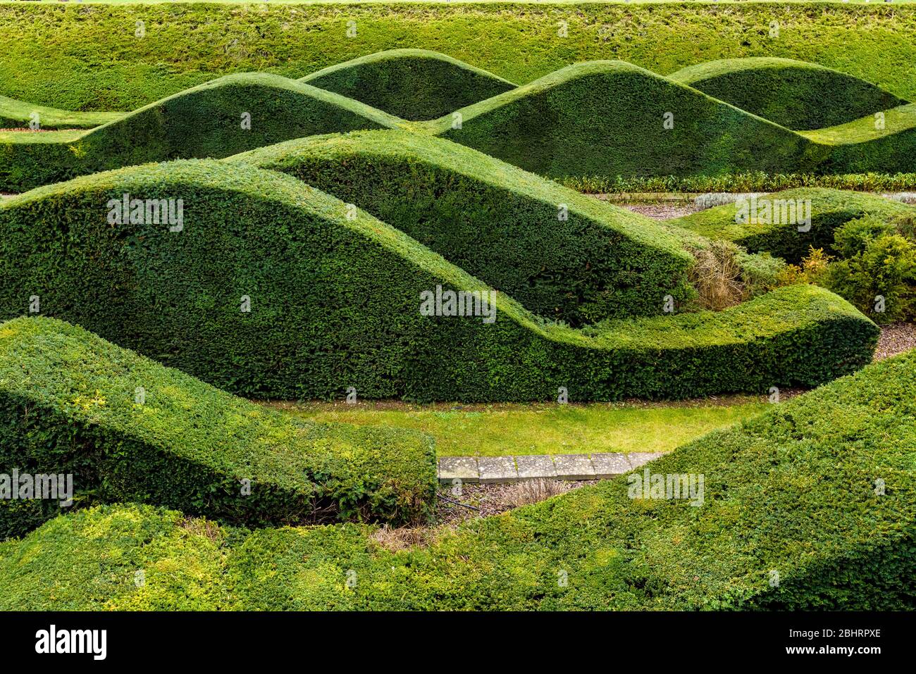 Hedgerows ondulati ondulati ondulati al Thames Barrier Park, Londra, Inghilterra. Foto Stock
