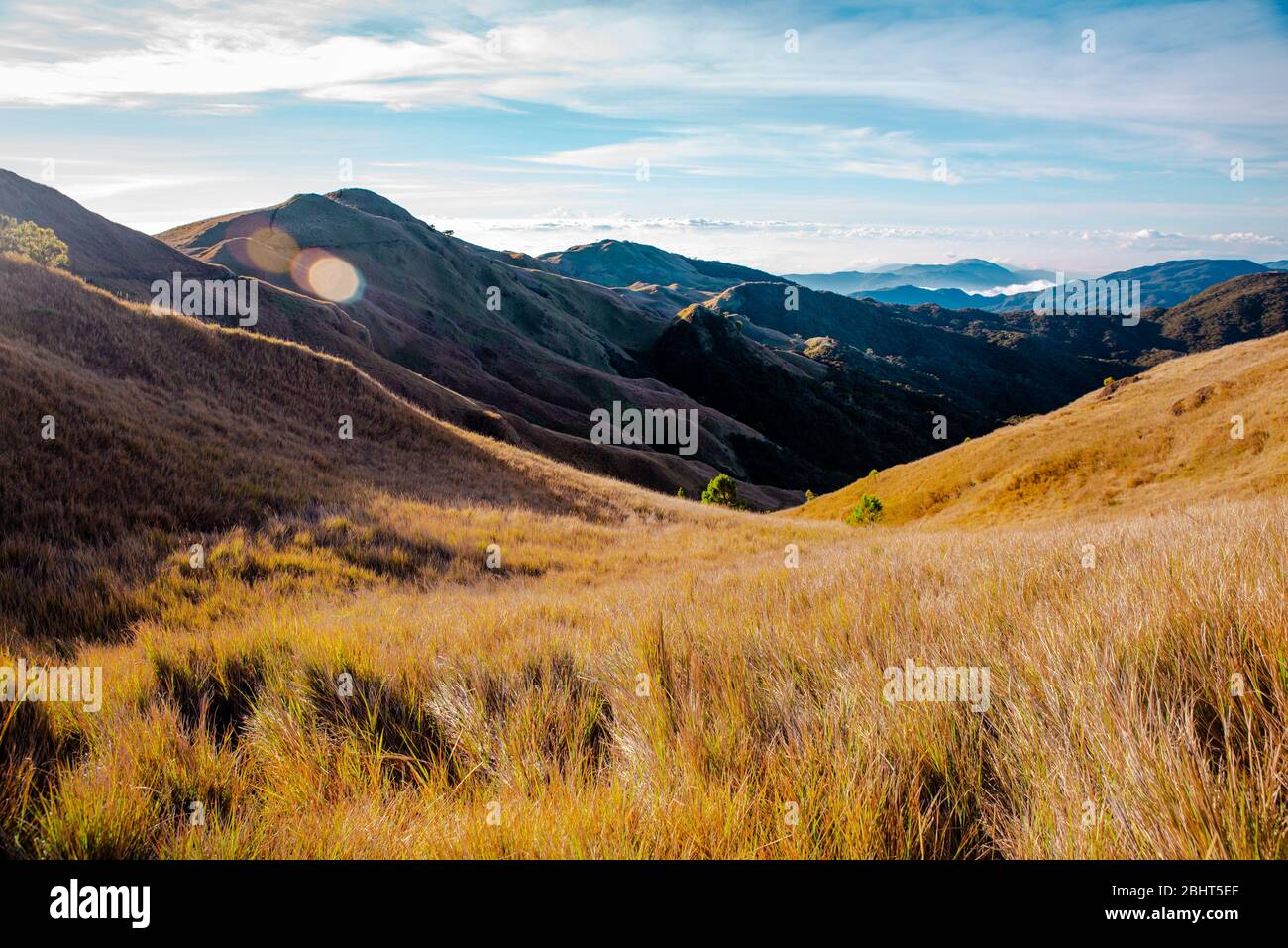 Creste di montagna di corrillera dalla cima del Monte Pulag, Benguet, Filippine. Foto Stock