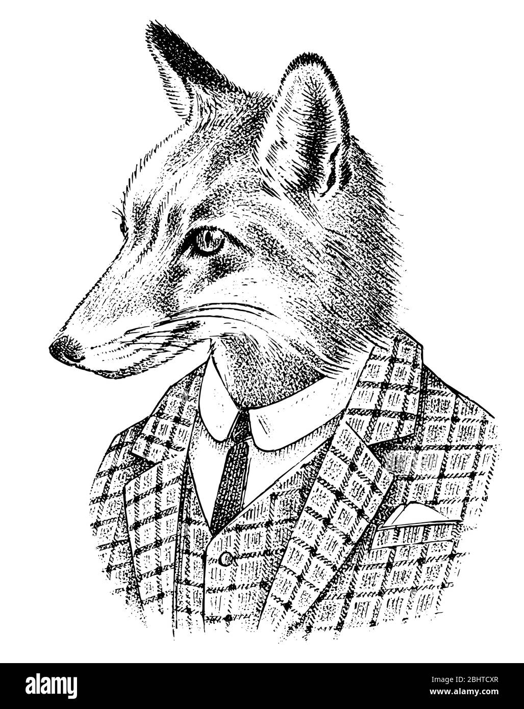 Fox vestito in abito. Aristocratico o vecchio Signore. Moda animale personaggio in stile ufficio. Schizzo di antropomorfismi disegnato a mano. Vettore inciso Illustrazione Vettoriale