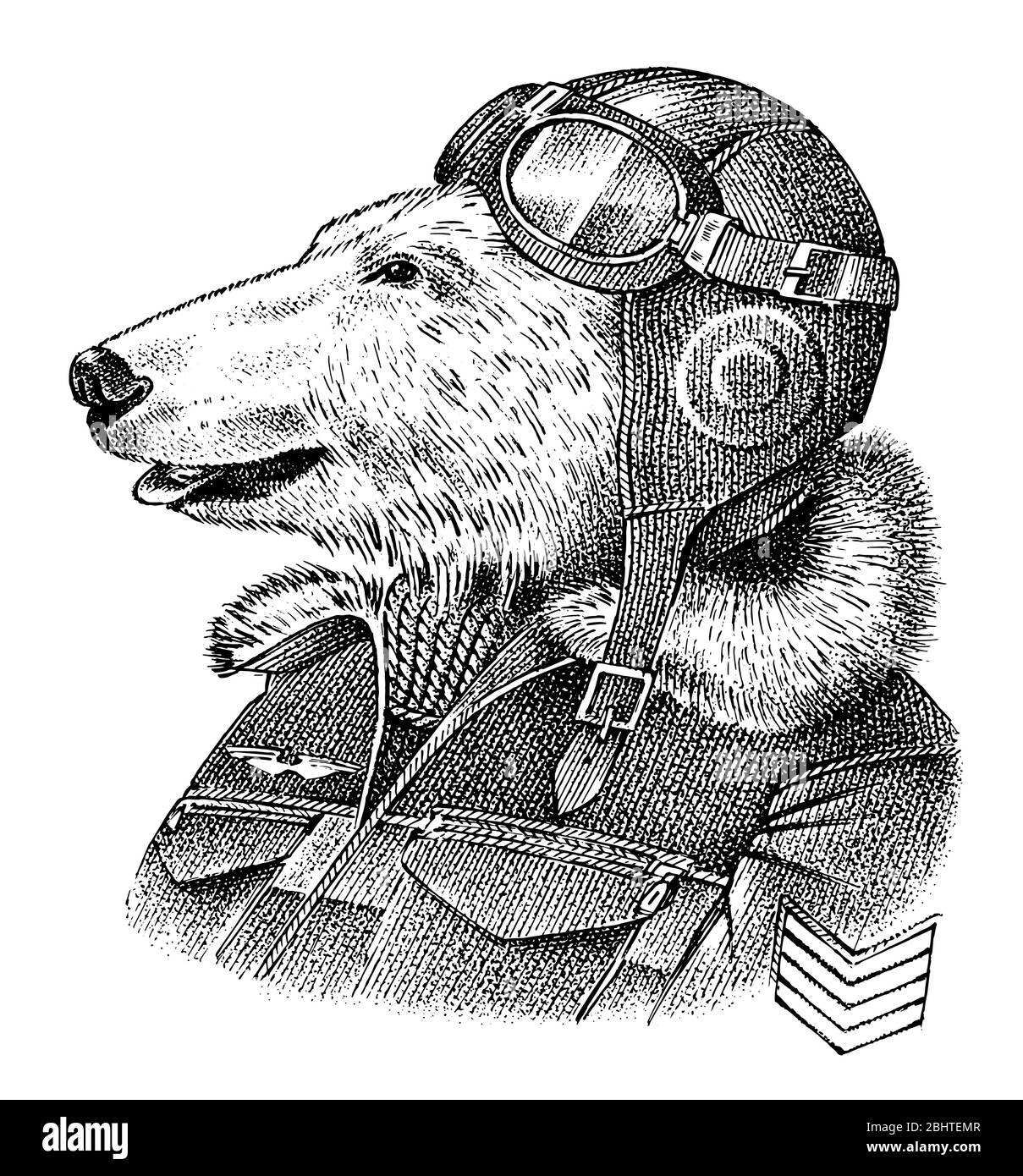 Orso polare vestito in su in pilota o aviatore. Flyboy o skyman. Schizzo del personaggio animale di moda. Antropomorfismo disegnato a mano. Illustrazione con incisione vettoriale Illustrazione Vettoriale