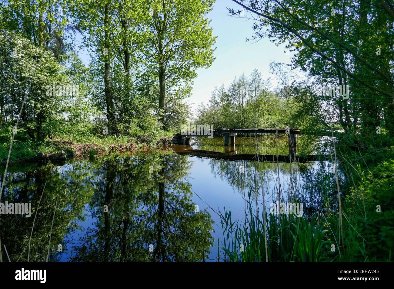 Paesaggio ricco d'acqua e terreno agricolo storico 'het groene hart' nella parte occidentale dei Paesi Bassi Foto Stock