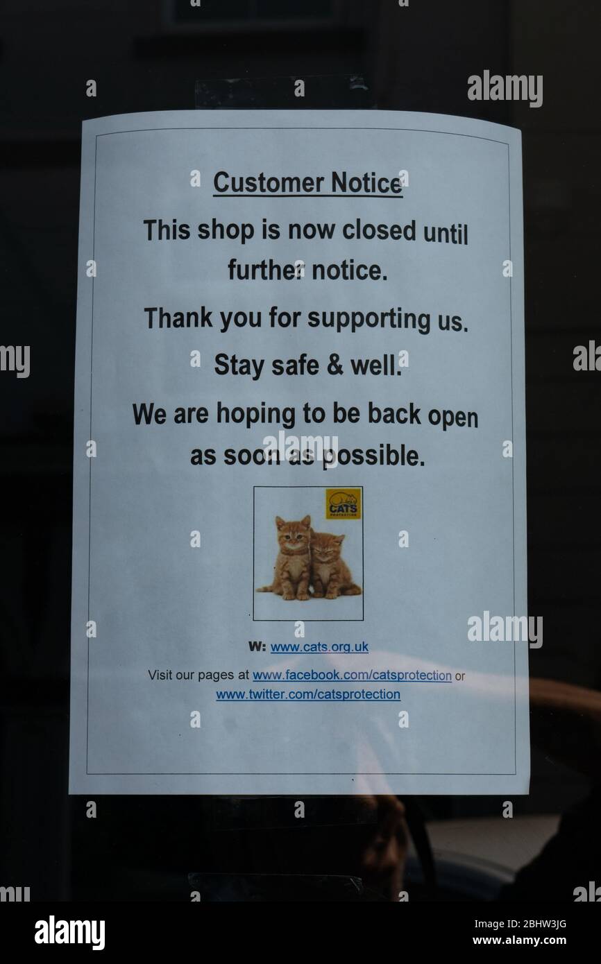 Chiuso segno in Cats Protection Cahrity Shop vetrina durante il Coronavirus Pandemic, aprile 2020. REGNO UNITO Foto Stock
