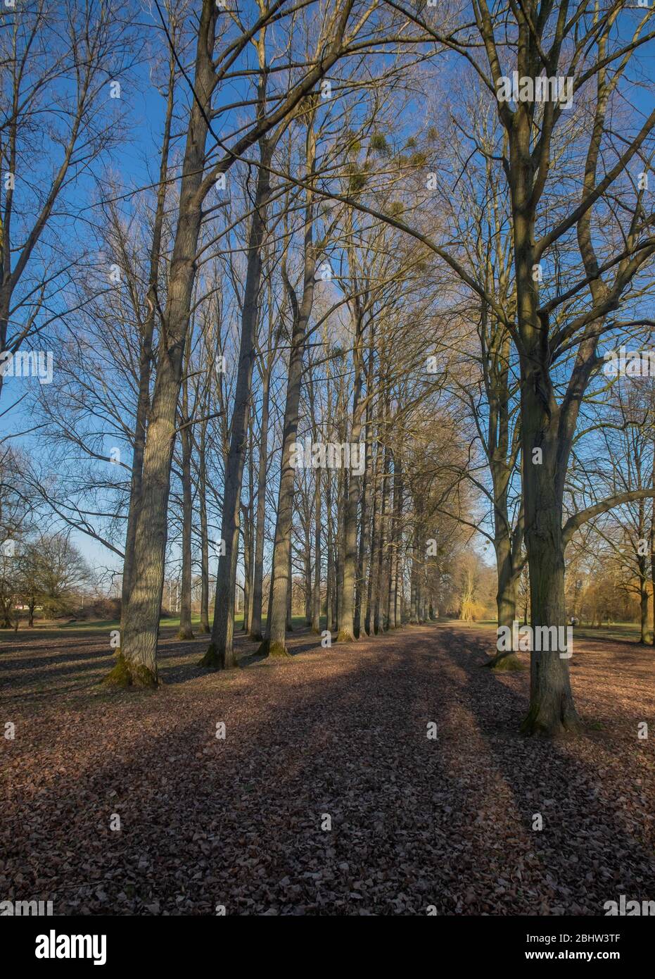 Marlow e Bourne terminano lungo il Tamigi - Regno Unito Foto Stock