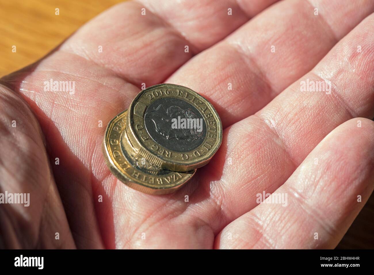 Due monete bimetalliche della libbra britannica tenute in un palmo dell'uomo e sparate vicino in su Foto Stock