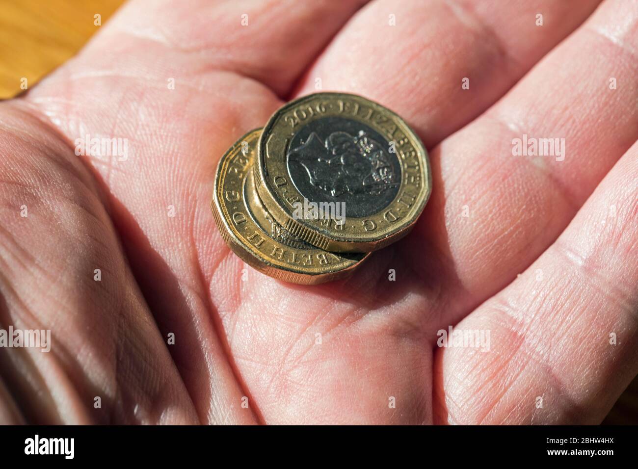 Due monete bimetalliche della libbra britannica tenute in un palmo dell'uomo e sparate vicino in su Foto Stock