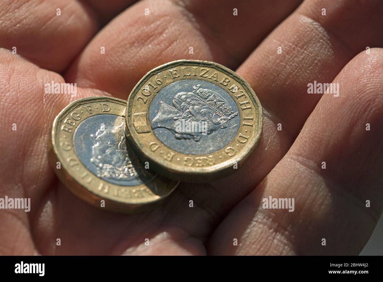 Due monete bimetalliche della libbra britannica tenute in un palmo dell'uomo e sparate vicino in su Foto Stock