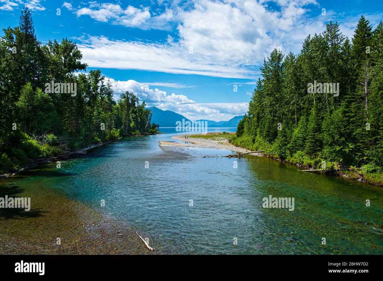 2312 Lake McDonald visto da McDonald Creek - Johns Lake Trail - PNL Foto Stock