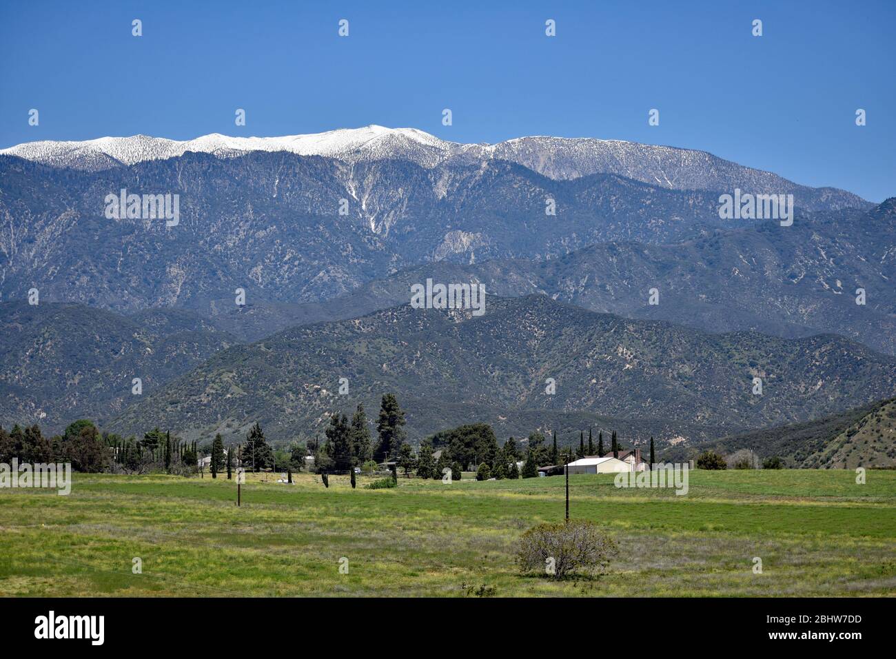 Vista delle montagne dal prato Foto Stock