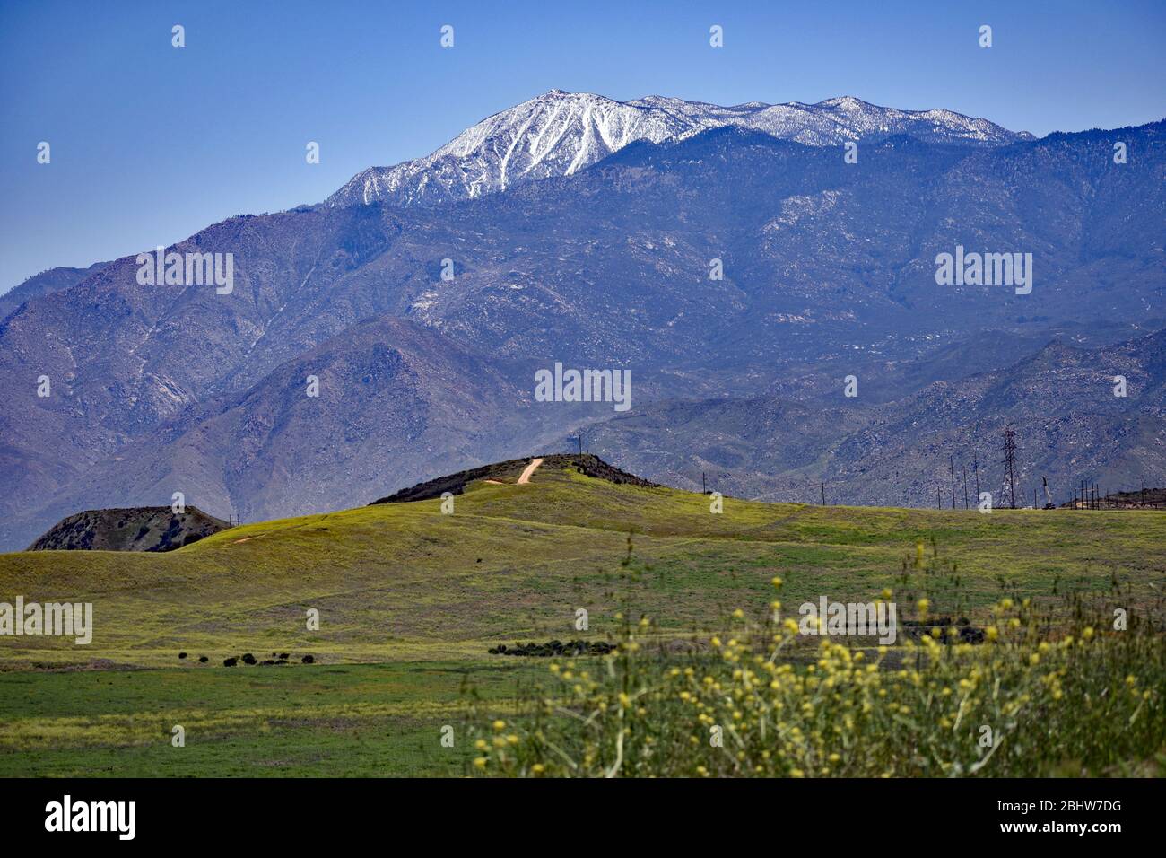 Vista delle montagne dal prato Foto Stock