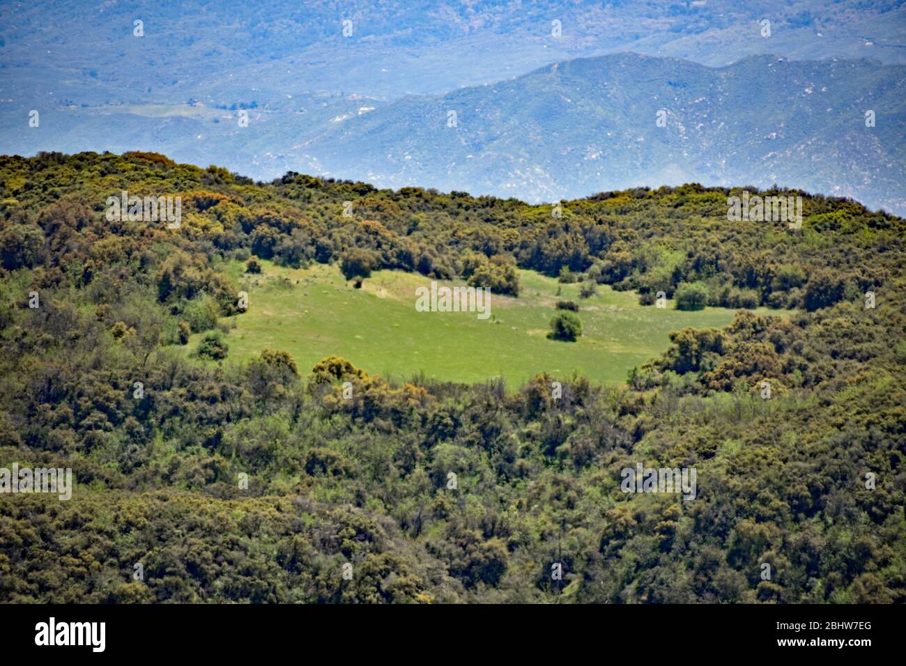 Vista delle montagne dal prato Foto Stock