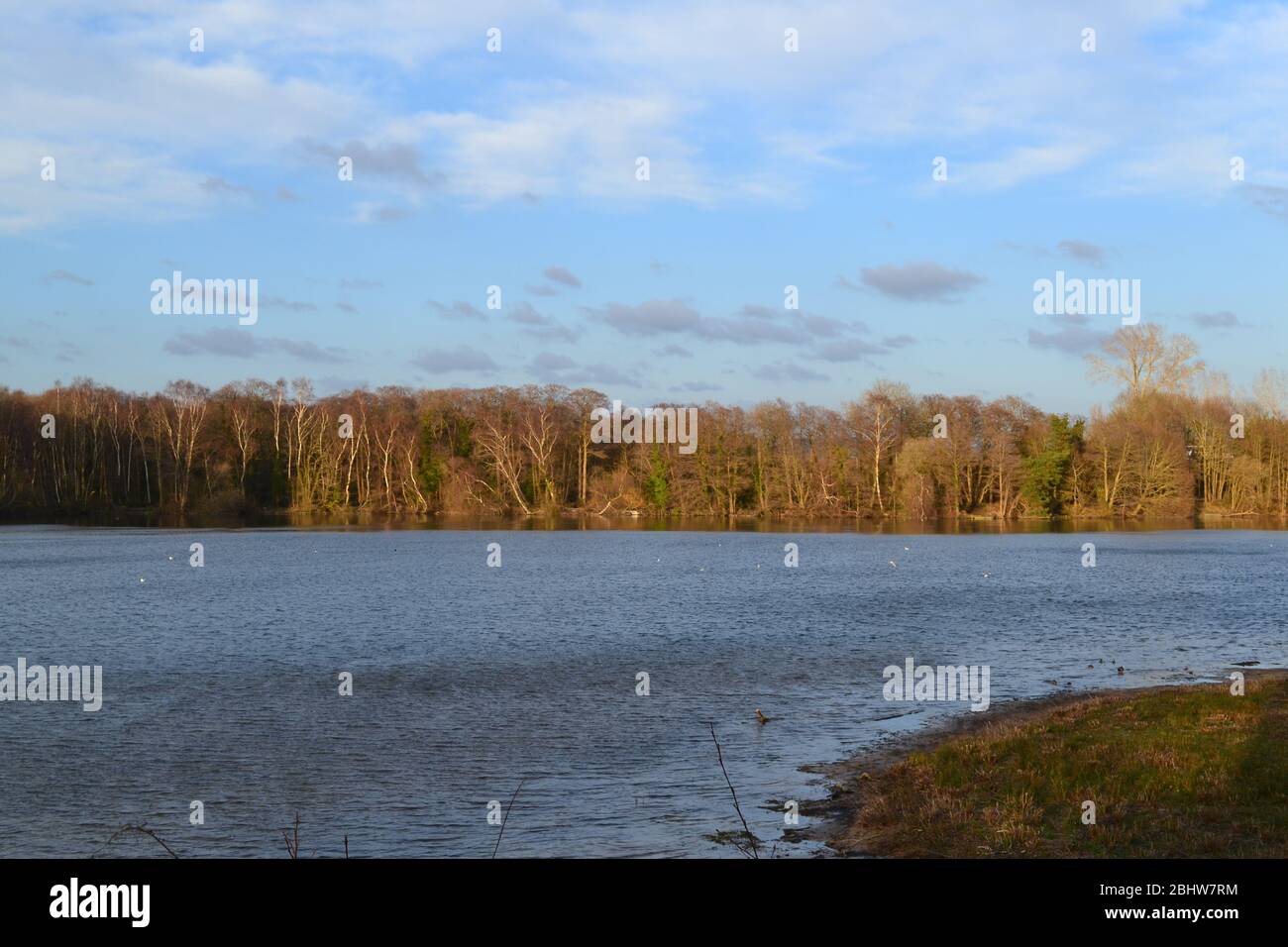 La sera di primavera presso la Sevenoaks Wildlife Reserve, gestita dal Kent Wildlife Trust, una meravigliosa ritrovo locale per passeggiate e birdwatching Foto Stock