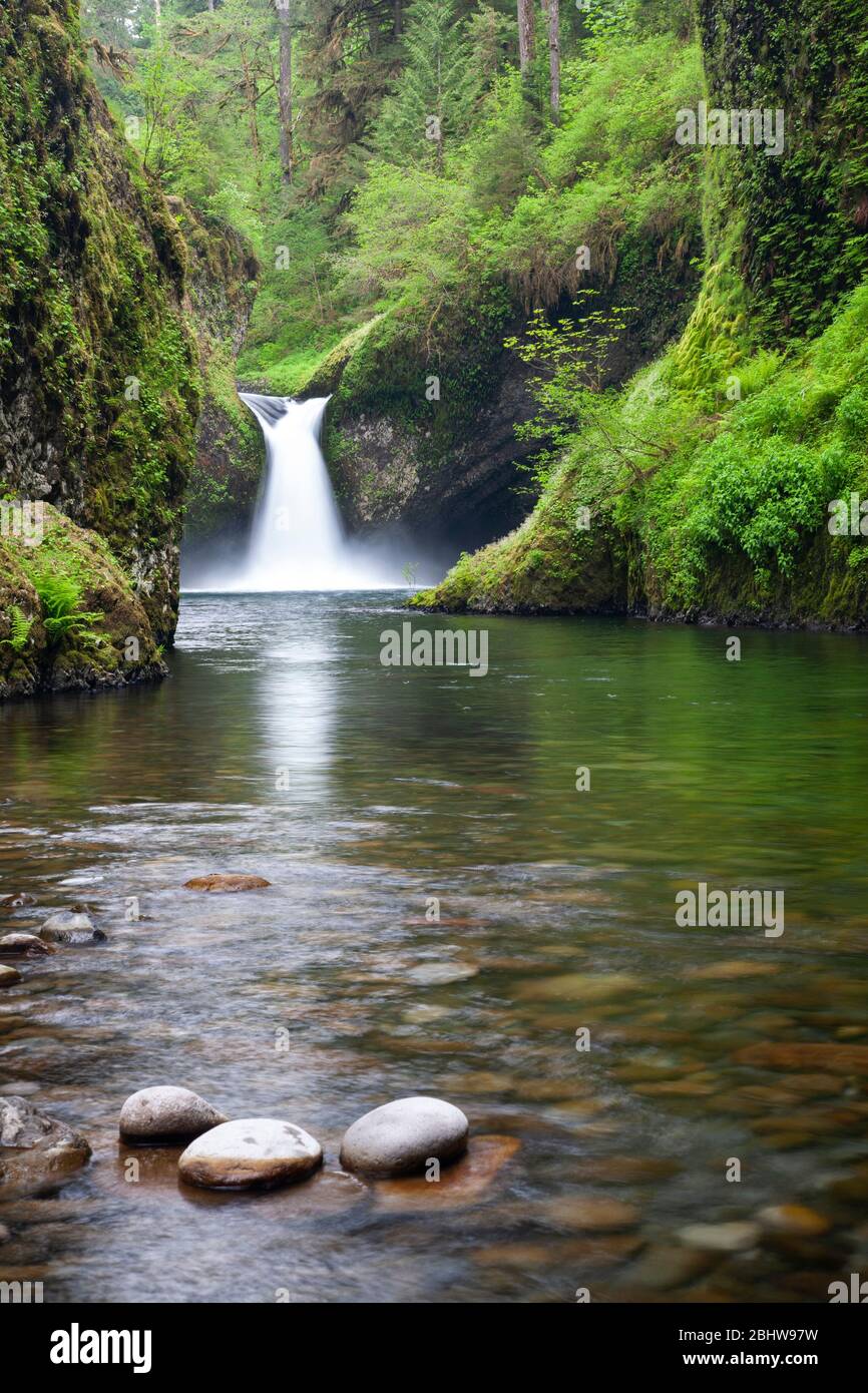 Vista delle cascate di Punchbowl, viste dal basso a Eagle Creek, nella foresta della Columbia River Gorge National Recreation Area in Oregon Foto Stock