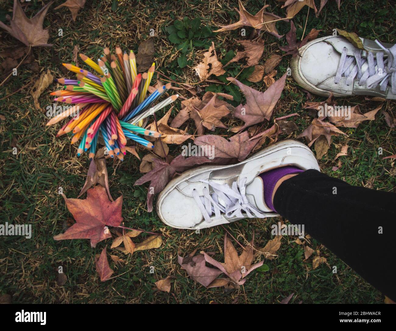 Alla ricerca di ispirazione per la colorazione Foto Stock