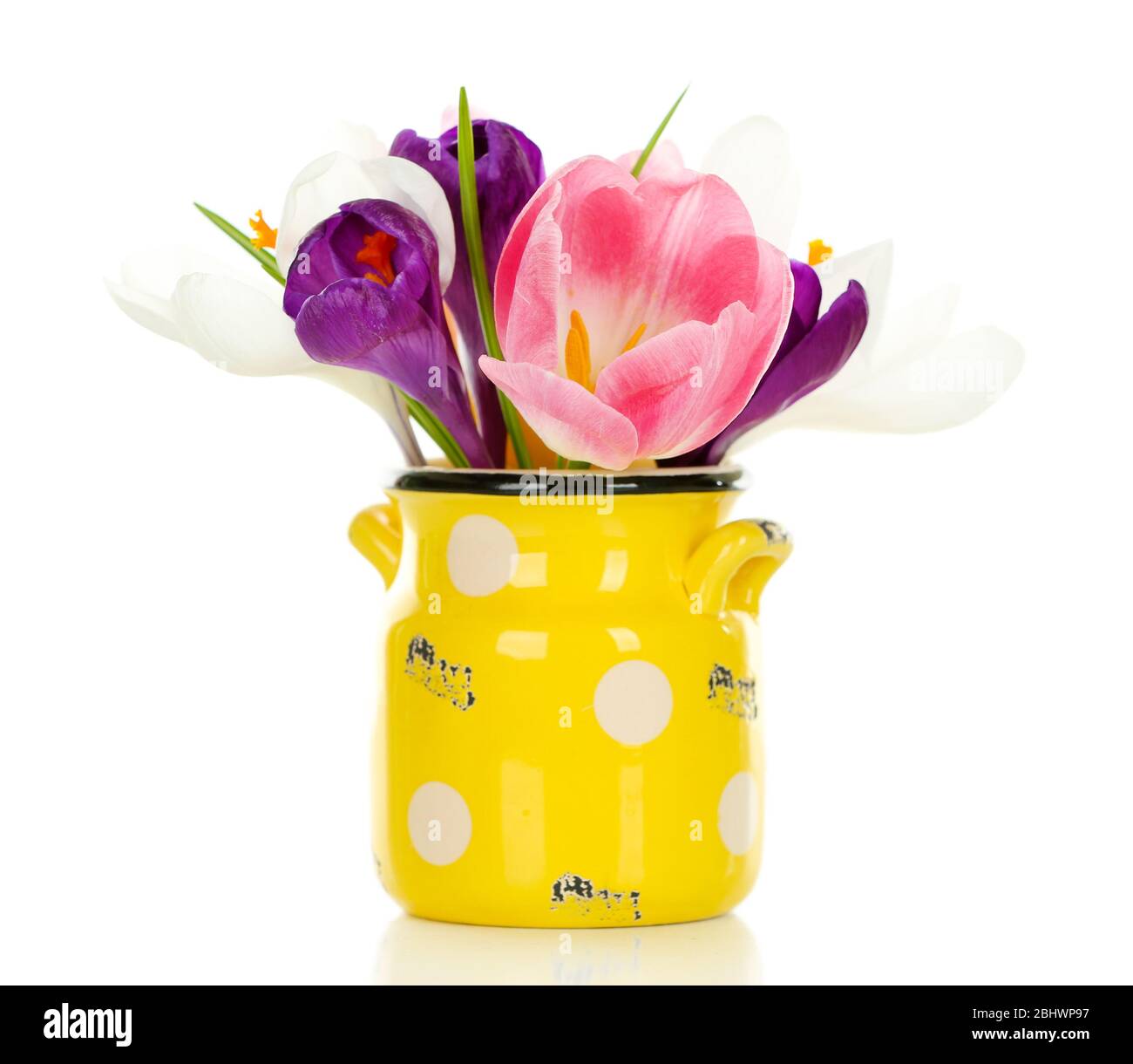 Bella primavera fiori in vaso giallo isolato su bianco Foto Stock