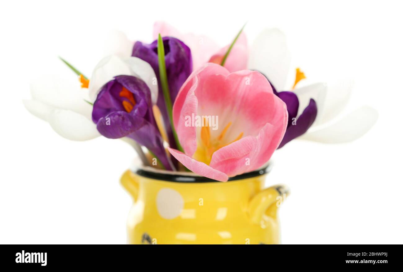 Bella primavera fiori in vaso giallo isolato su bianco Foto Stock