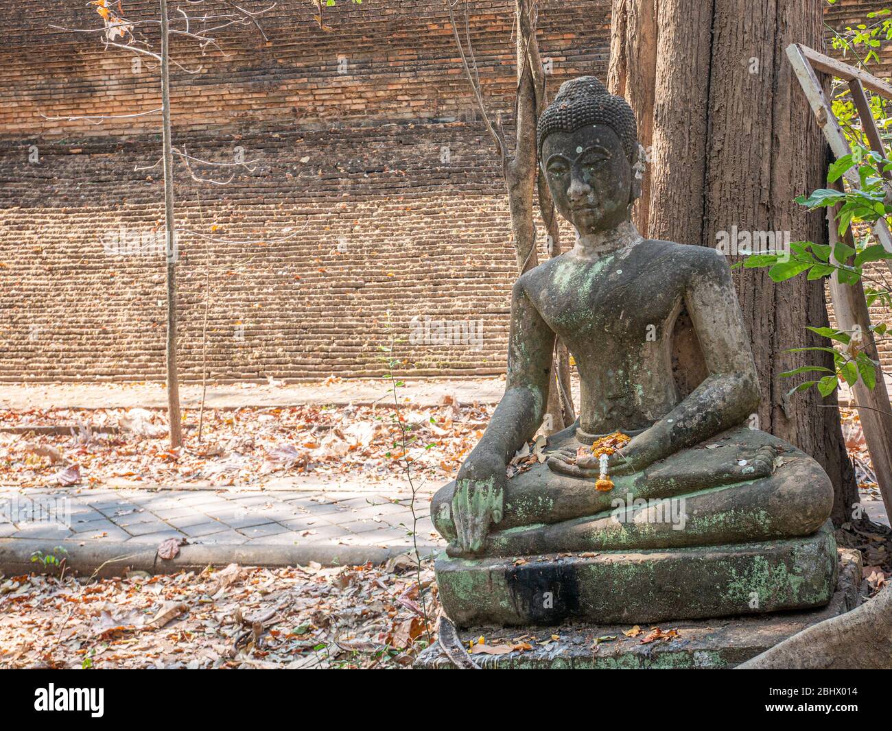 Statua del vecchio Buddha al Tempio nome tailandese: Wat Umong, Chiang mai, Thailandia. Religione del Tempio tradizionale asiatico nord Foto Stock