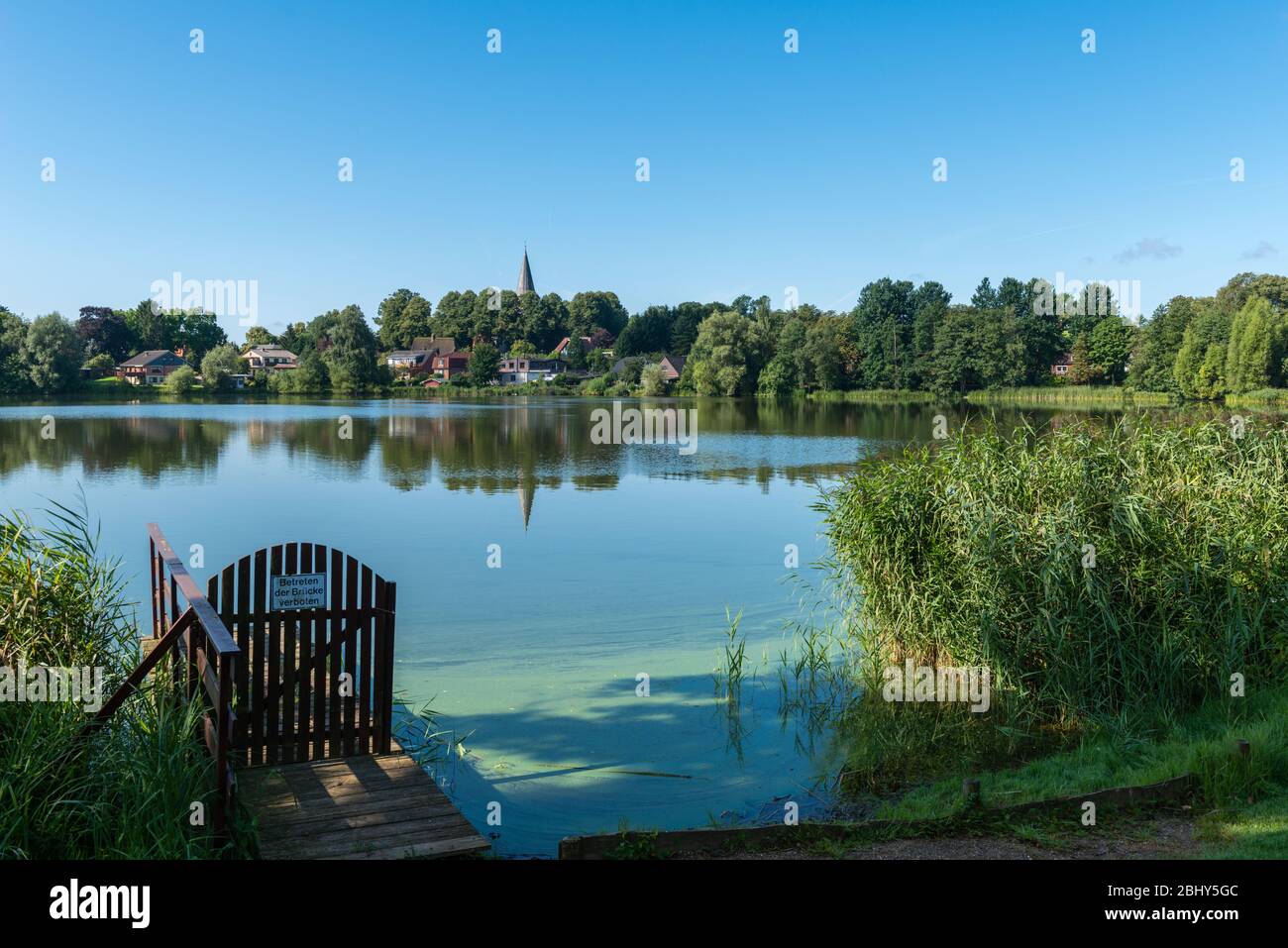 Neukirchener See, Lago Neukirchen, Bad Malente-Neukirchen, Holstein Svizzera, Ostholstein o distretto di East Holstein, Schleswig-Holstein, Germania Foto Stock