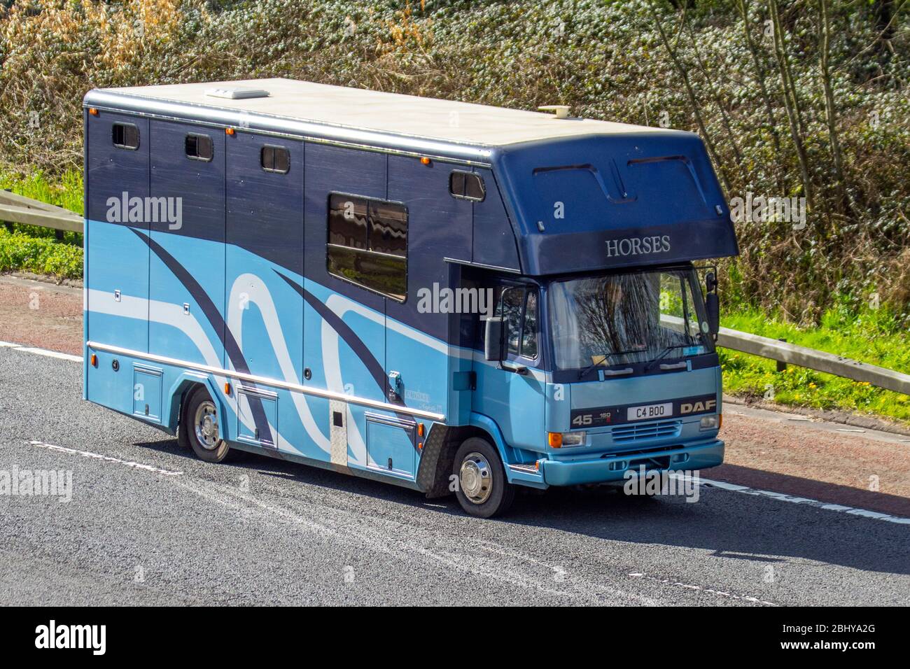 DAF Trucks fa 45.150 cavalli; trasporto di animali sull'autostrada M6, Lancashire, Regno Unito Foto Stock