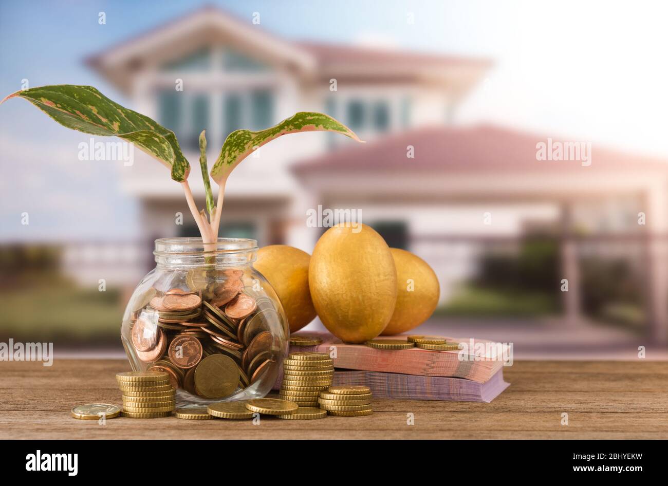 vaso di monete con germogli, banconote, uova d'oro, moneta d'oro su sfondo di casa nuova. Concetto di investimento immobiliare. Concetto di pianificazione fiscale di hou Foto Stock