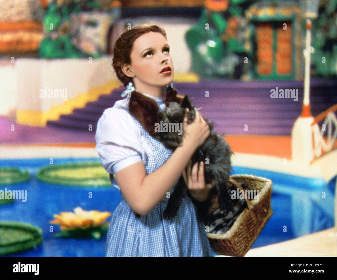 Il mago di Oz anno: 1939 USA Direttore: Victor Fleming Judy Garland Foto Stock