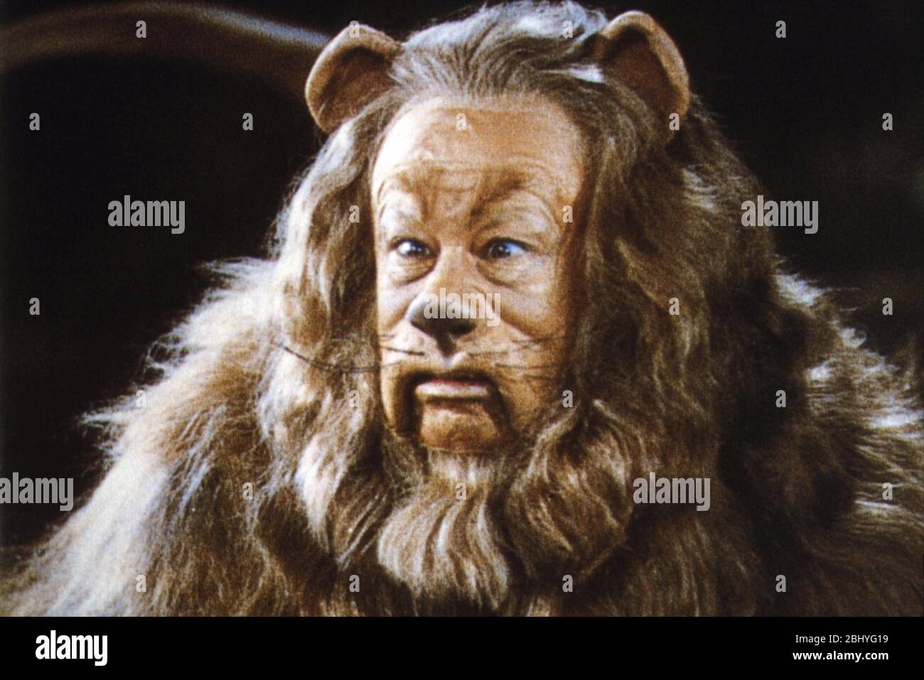 Il mago di Oz anno: 1939 USA Direttore: Victor Fleming Bert Lahr Foto Stock