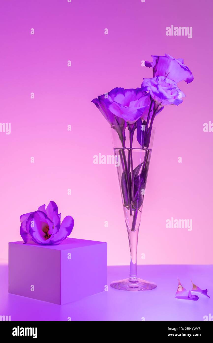 Immagine di fiori di colore viola e rosa in un flauto di champagne e una scatola regalo. La vita creativa. Foto Stock