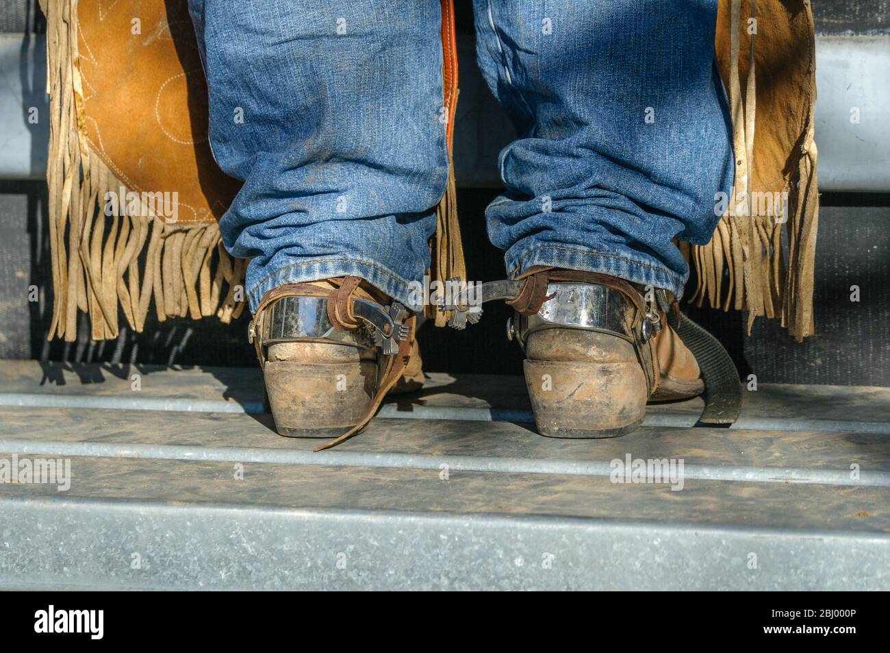 Le gambe inferiori del rodeo rider con jeans, chaps, stivali e spur si trovano in cima al paltform su uno dei chute, pronti a fare il suo giro a Mareeba in Australia. Foto Stock