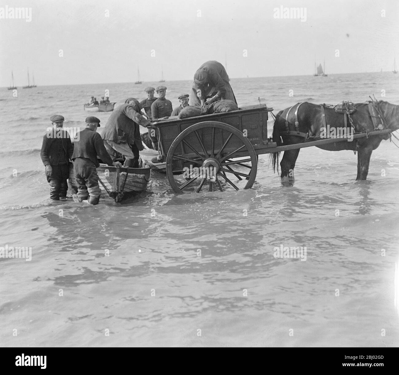 Pesca d'ostriche a Whitstable - 7 ottobre 1919 Foto Stock