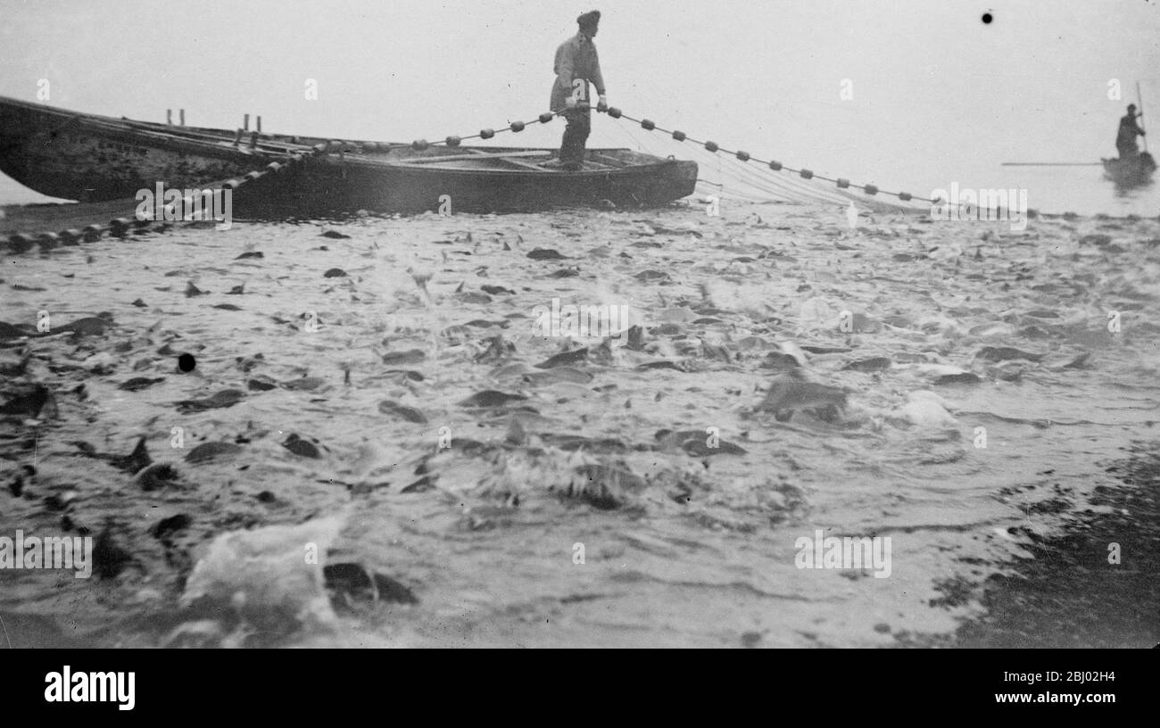 Salmone pesca Kamchatka , un calderone bollente di pesce in Russia - 1920 Foto Stock