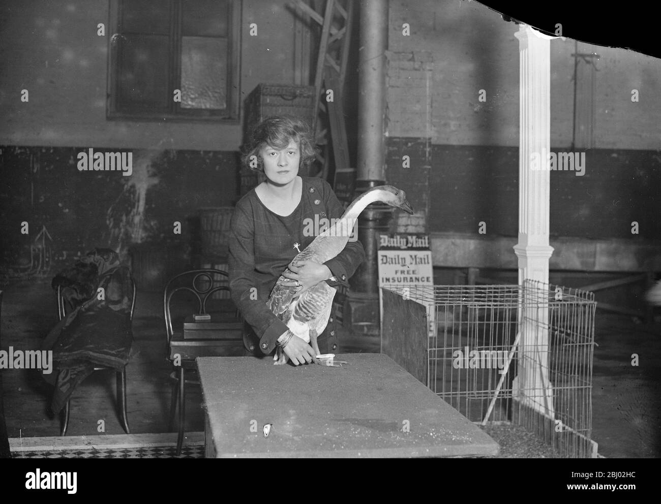 La signora A R Cunliffe Owen con una delle sue anatre cinesi alla fiera internazionale del pollame di Olympia, il 8 dicembre 1924 Foto Stock