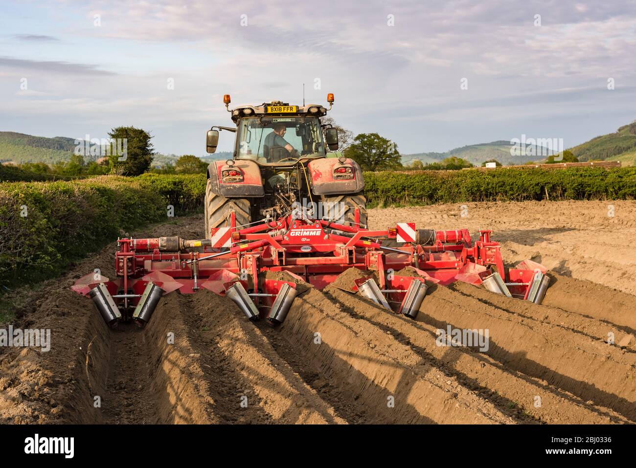 Un grimme GF600 Rotary hiller o letto ex preparazione di un campo Herefordshire per la piantagione di patate, Regno Unito Foto Stock