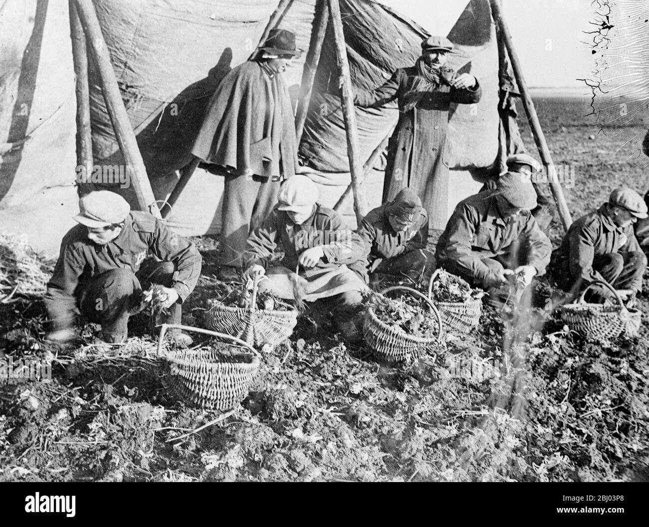 I contadini italiani lavorano in campi tedeschi. Migliaia di contadini italiani 'presi in prestito' da Hitler da Mussolini lavorano nei campi della Germania per aiutare il Reich a superare le difficoltà di produzione alimentare. - i ciclisti sono stati importati perché mancano i lavoratori agricoli tedeschi. - spettacoli fotografici, contadini italiani al lavoro nei campi della Germania Centrale. - 14 luglio 1939 Foto Stock