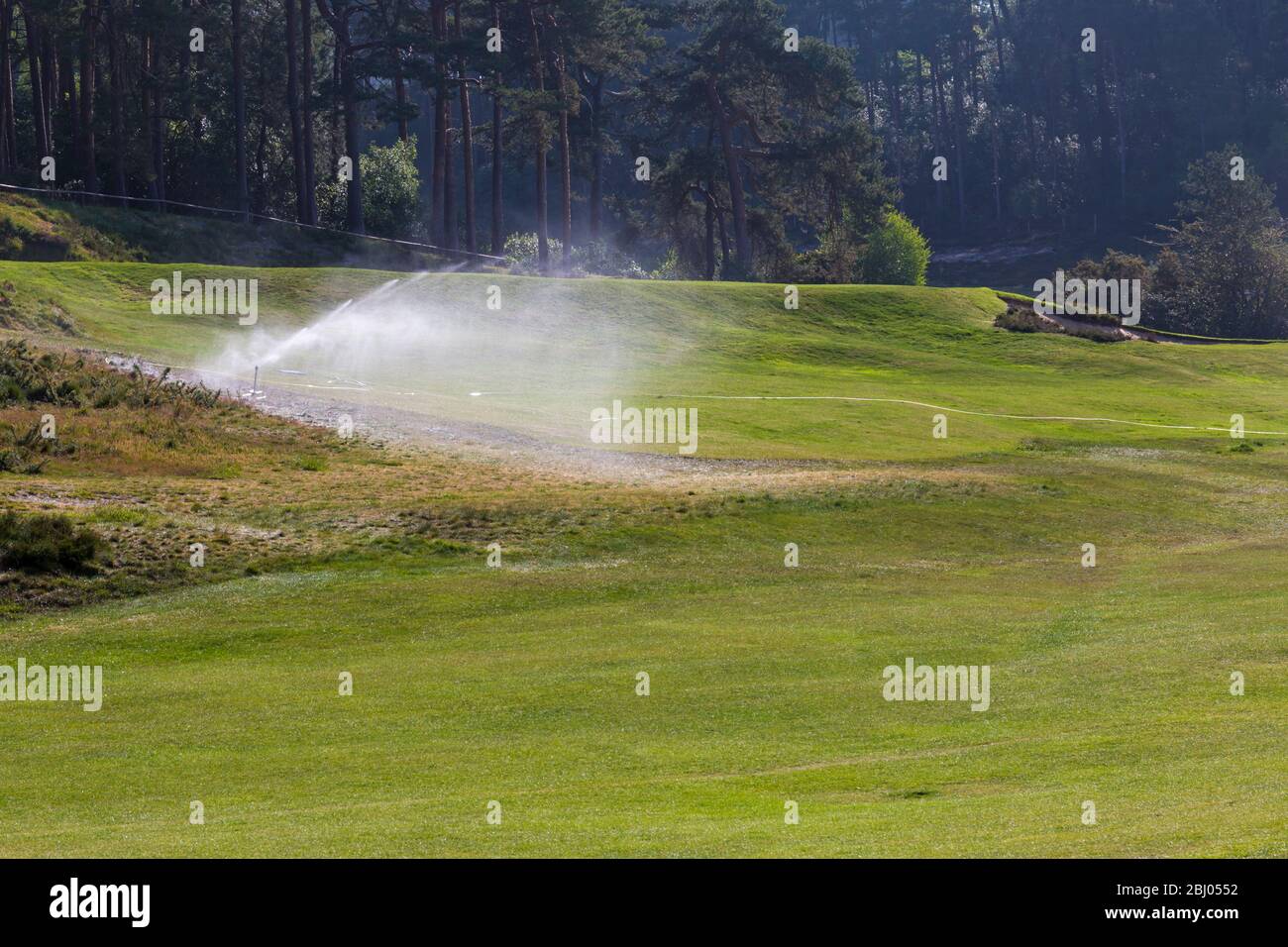 Annaffiatura campo da golf a Dorset, Regno Unito nel mese di aprile - campo da golf irrigatore Foto Stock