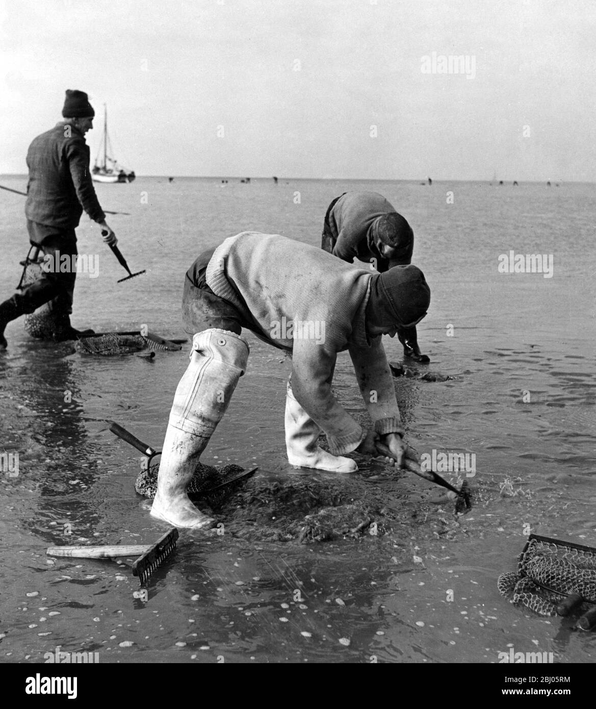 Cocklers al lavoro su Maplin Sands. Nota gli abiti caldi. Foto Stock