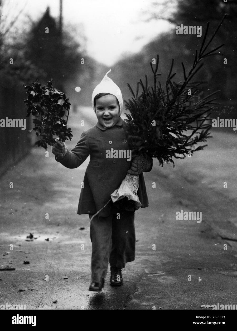 La ragazza giovane eccitatamente porta a casa un po' agrifoglio e un piccolo albero di Natale per decorare la sua casa. Foto Stock