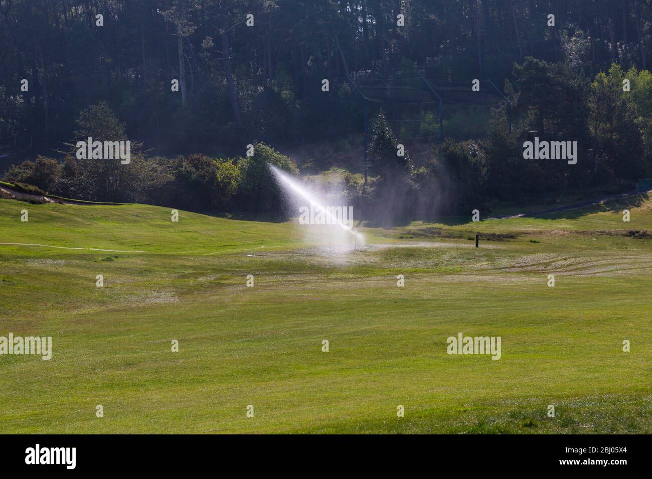 Annaffiatura campo da golf a Dorset, Regno Unito nel mese di aprile - campo da golf irrigatore Foto Stock