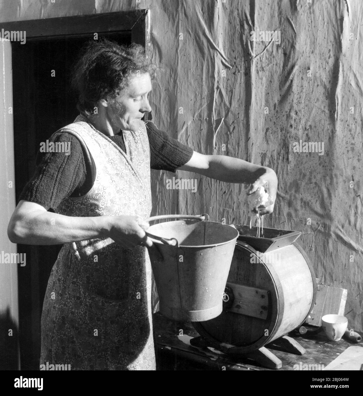 Duncan MacDougall's Croft. La signora MACD. Fa il burro. Circa 11 b al giorno. La daisy fornisce crema per il burro, skim per il maiale, latte per la famiglia da bere ai pasti, latte per i tre vitelli che stanno allevando. Daisy una parte importante e vitale dell'economia di famiglia - e un amico. - 25/9/54 Foto Stock