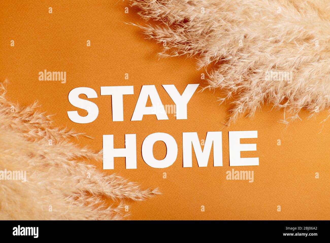 Messaggio di soggiorno a casa posato su una superficie arancione tra rami di cereali soffici Foto Stock