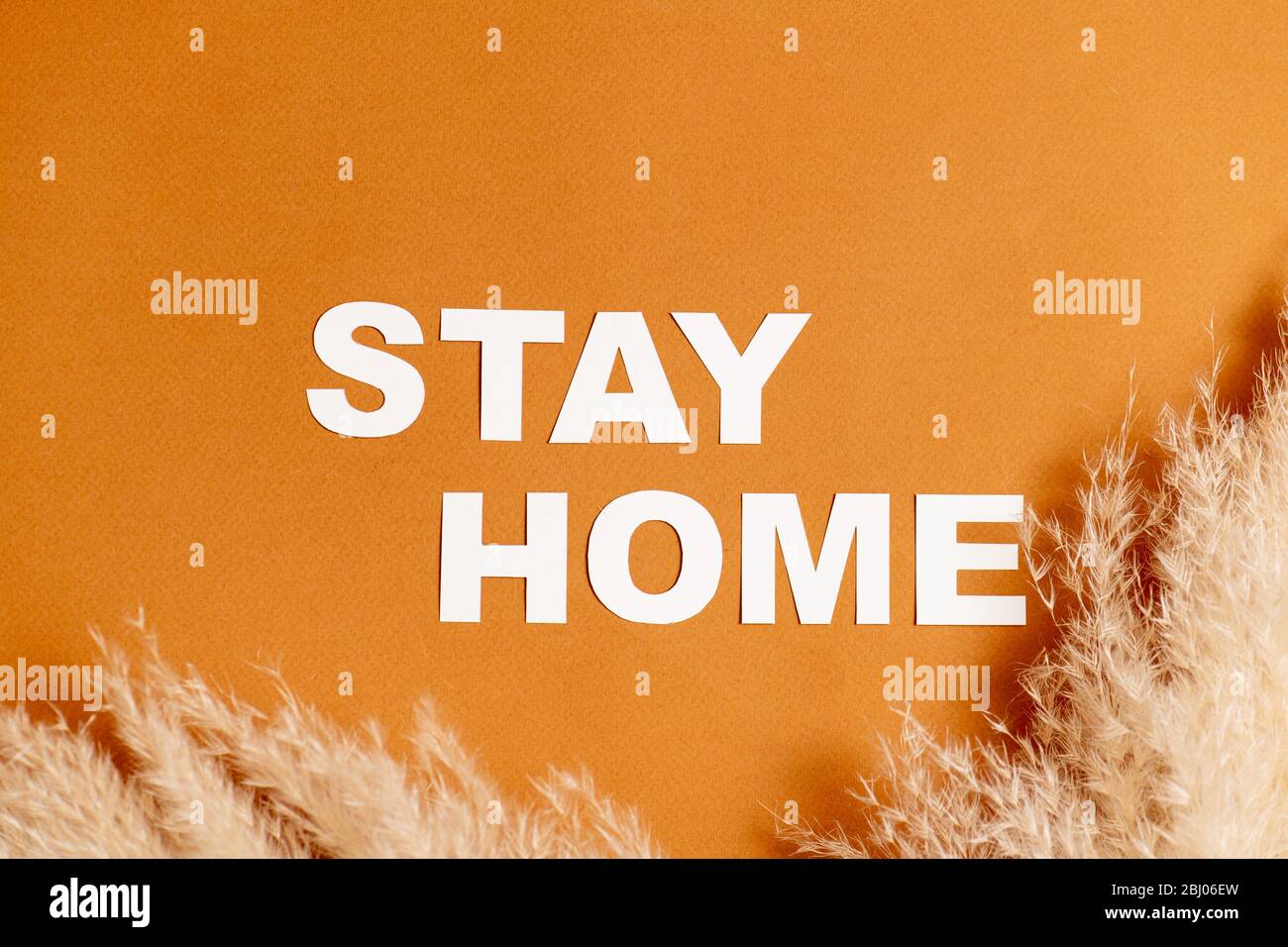 Messaggio di soggiorno a casa posato su una superficie arancione con rami di cereali soffici Foto Stock