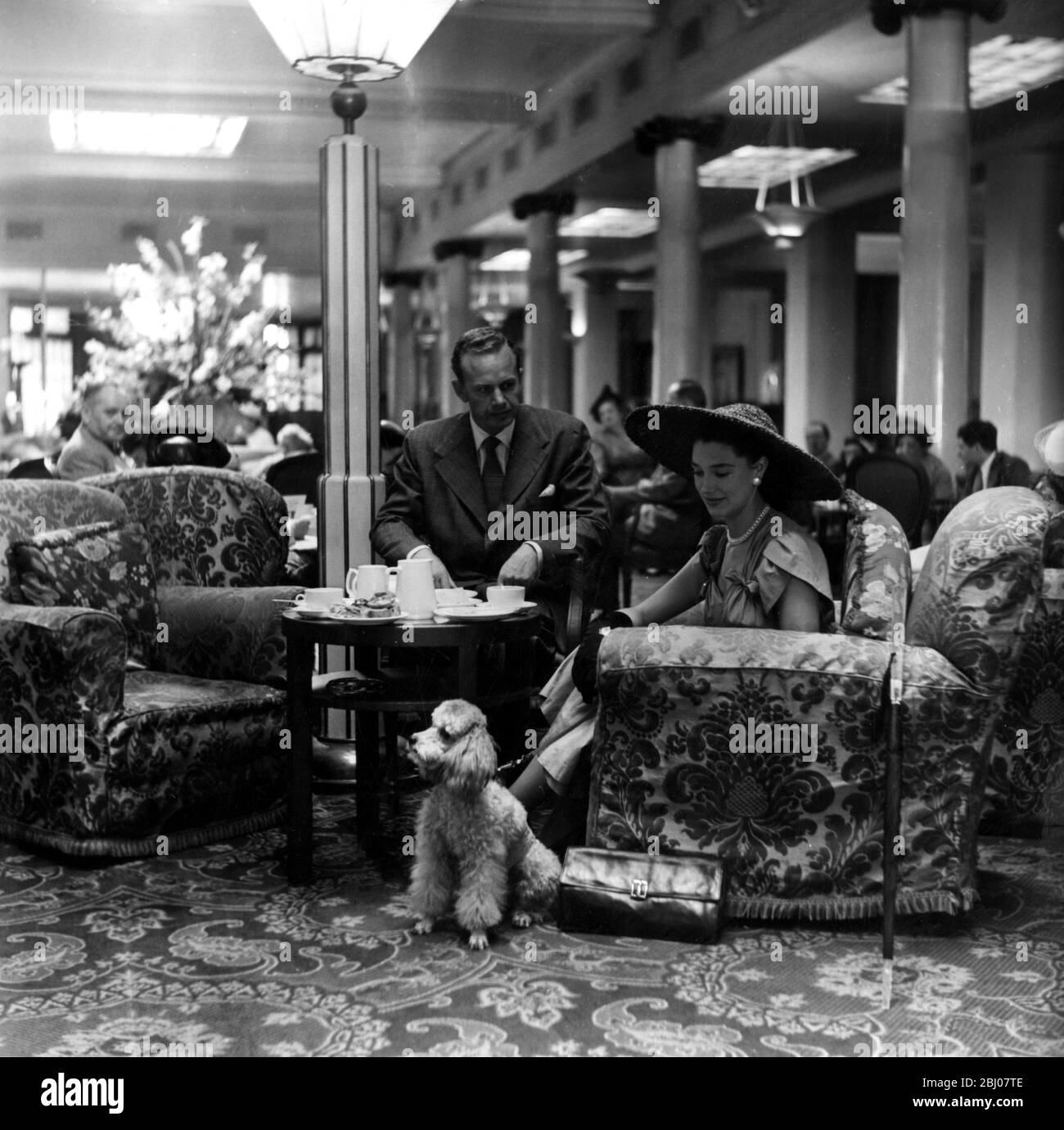 Una coppia siede per il tè pomeridiano con i loro cuccioli nella sala del Parco del Grosvenor Hotel , Park Lane , Londra , Inghilterra . - 5 agosto 1950 Foto Stock