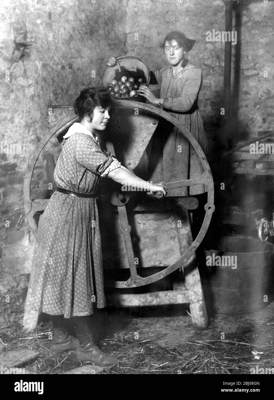 Produzione di sidro nel Devonshire. - 6 novembre 1919 Foto Stock