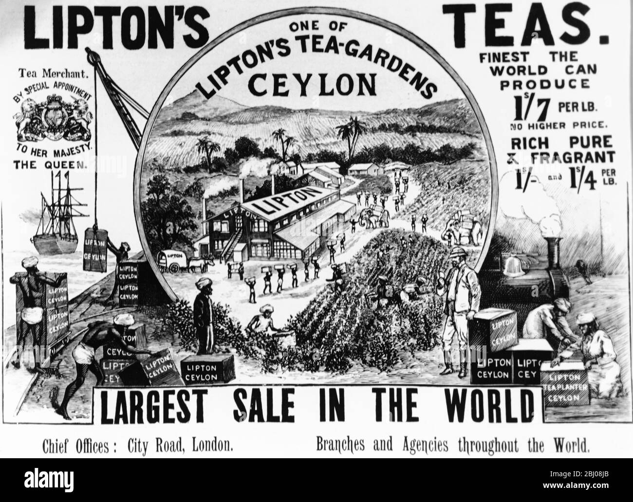 Pubblicità per Lipton Tea - 1896 Foto Stock
