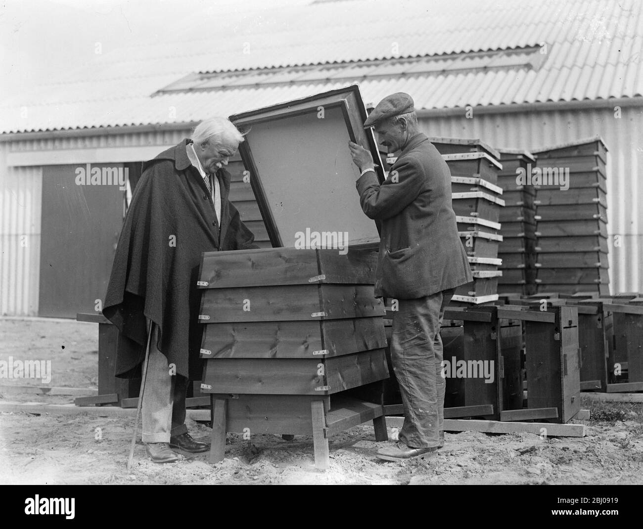 Lloyd George guardando le alveare . - 11 maggio 1934 Foto Stock