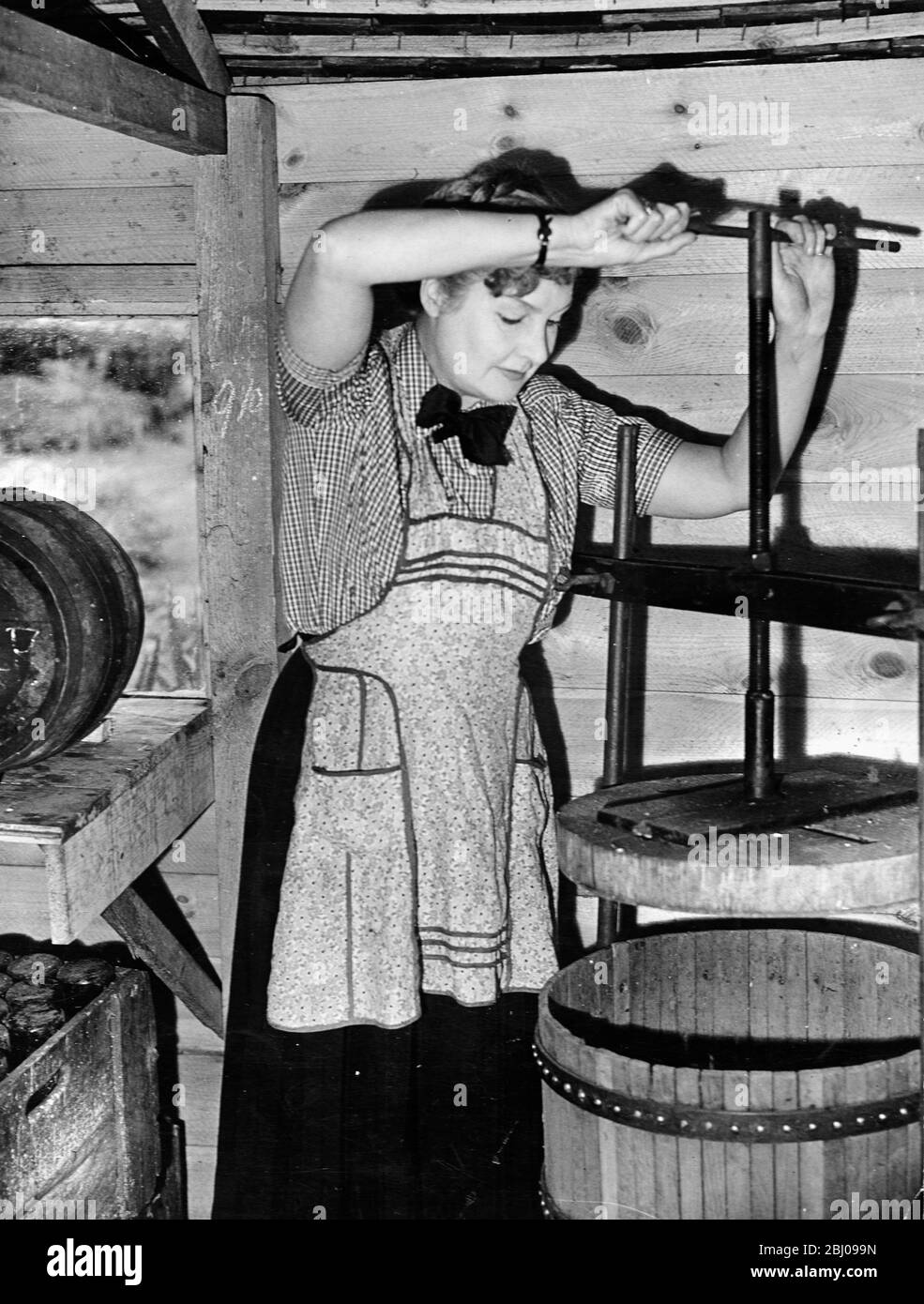 Foto mostra: Fare il vino con una pressa per vino fatta in casa. c.1954 - Foto Stock