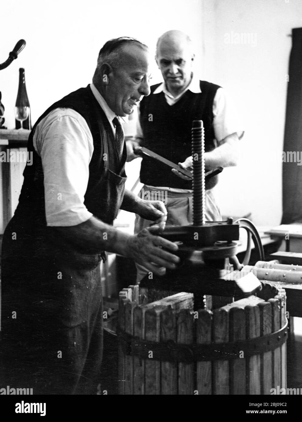 Foto mostra: Hambledon. Dopo la trivolatura, la miscela schiacciata viene pressata da Blackman, il maggiordomo di Salisbury-Jones. La resa di quest'anno dell'uva, dice Sir Guy, farà di Hambledon '57 la migliore annata di sempre. Foto Stock