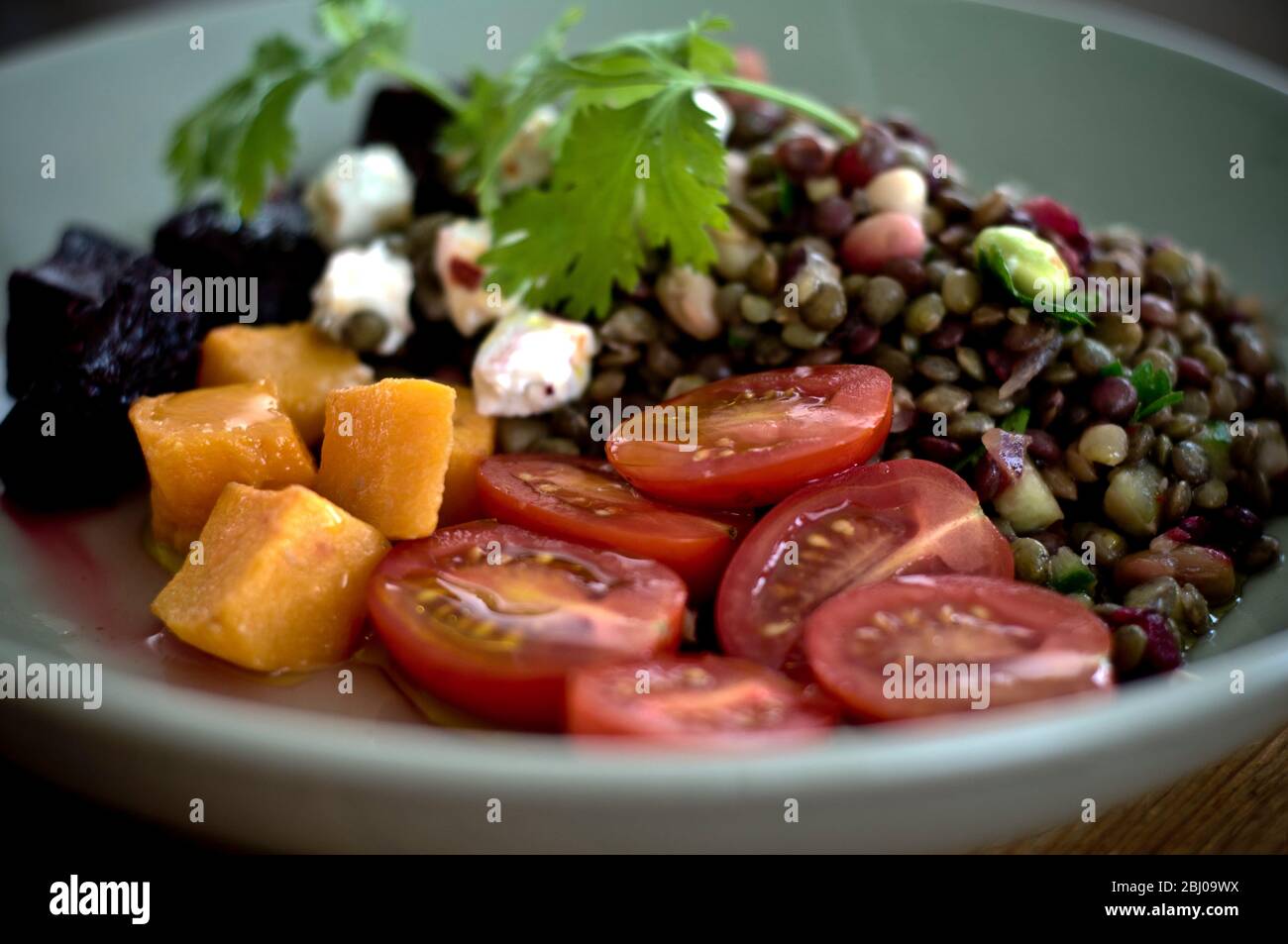 Insalata vegetariana di lenticchie con erbe e fagioli edamame, piccoli pomodori di susina, barbabietola sottaceto, pezzi di zucca e formaggio di capra. Foto Stock