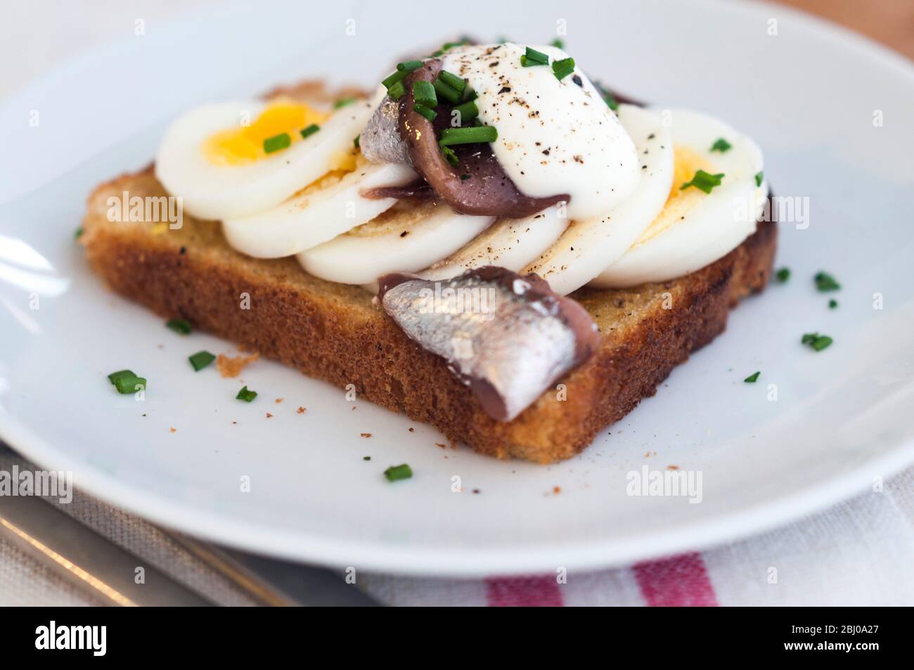 Un classico panino svedese a vista aperta con uova sode a fette, condite con ansjovis svedese in scatola (spratti sottaceto) cosparso di erba cipollina tritata. Foto Stock