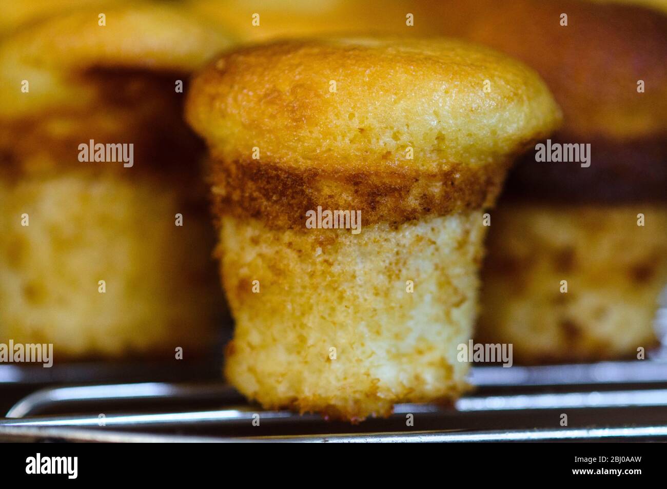 Piccole torte di fata senza glutine cotte in teglia. Ricetta disponibile con acquisto di foto Foto Stock